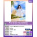 1/7 井之上瀧奈 White dress version