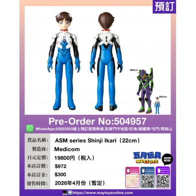 ASM series Shinji Ikari (22cm)
