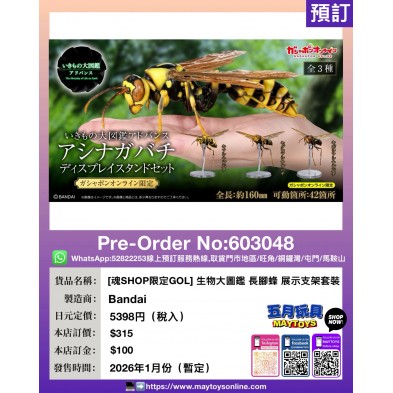[魂SHOP限定GOL] 生物大圖鑑 長腳蜂 展示支架套裝