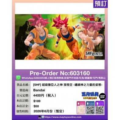 [SHF] 超級撒亞人之神 孫悟空 -纏繞神之力量的姿態-