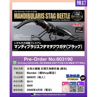 生物大圖鑑 巨顎叉角鍬形蟲 (黑色) (魂Shop限定)