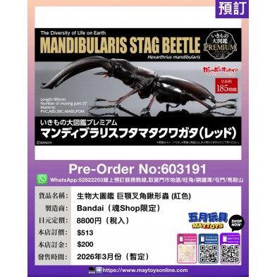 生物大圖鑑 巨顎叉角鍬形蟲 (紅色) (魂Shop限定)