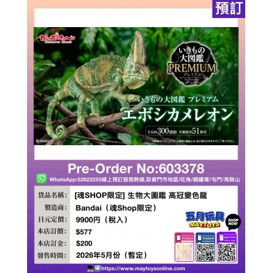[魂SHOP限定] 生物大圖鑑 高冠變色龍 (魂Shop限定)