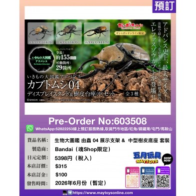 生物大圖鑑 由蟲 04 展示支架& 中型樹皮底座 套裝 (魂Shop限定)  