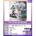 1/7《尼爾:自動人形Ver1.1a》「A2」