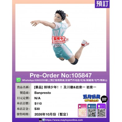 [景品] 排球少年！！ 及川徹&岩泉一 岩泉一