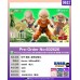 SHF 無閑 - 孫悟空摯友 - (魂Shop限定)