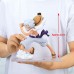 Grandista 五檔路飛 Vol.2