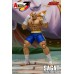1/12 Action Figure SAGAT